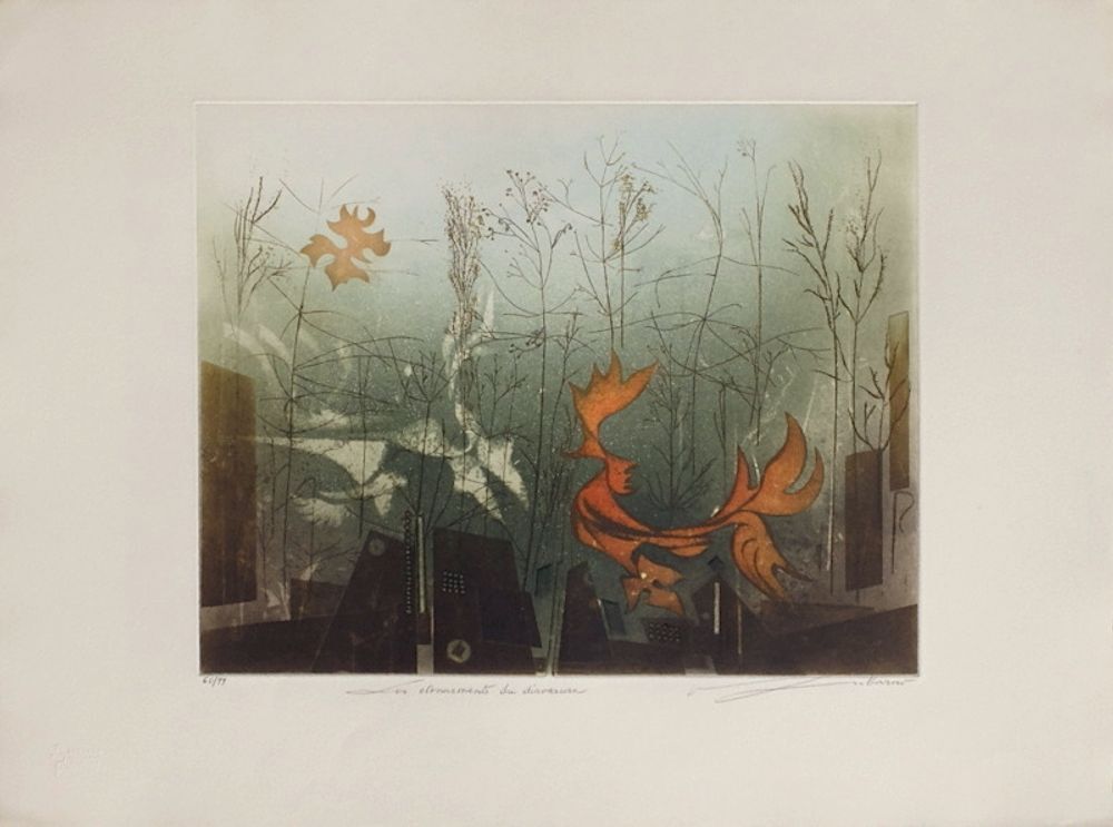 Renée Lubarow Gesigneerde Ets Etonnements Du Dinosaure 1990