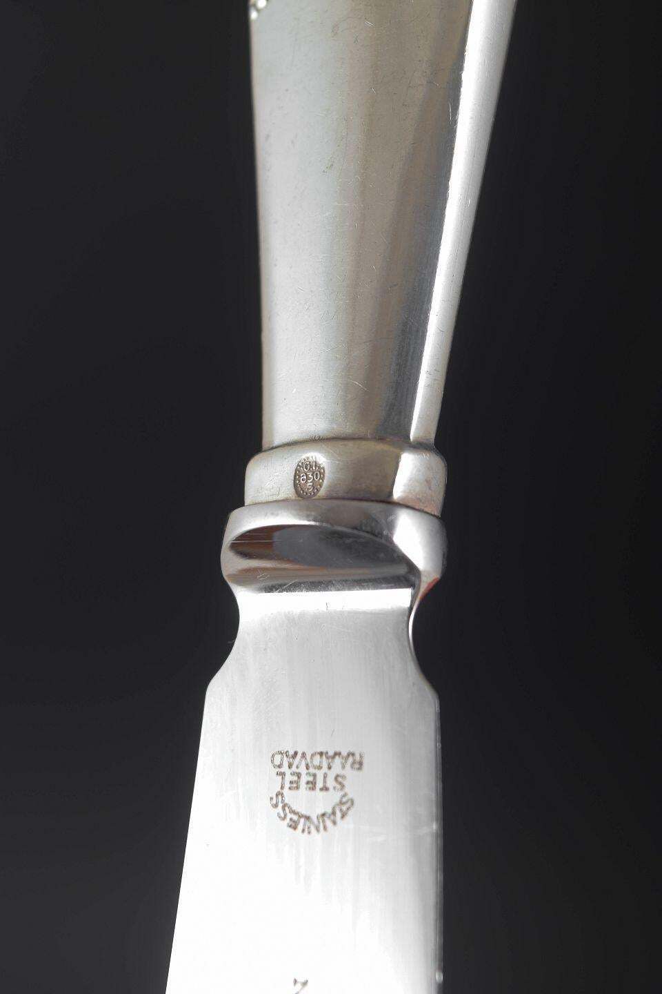 Georg Jensen, zeldzaam taartmes in zilver en roestvrij staal. Viking-patroon. photo 242.0