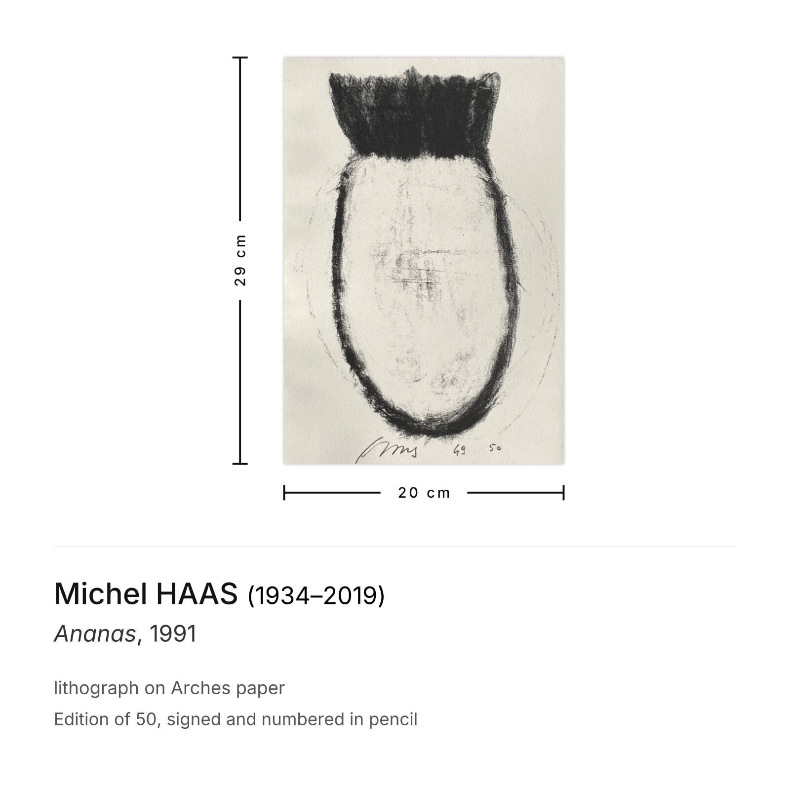 Michel Haas Gesigneerde Lithografie Ananas 1991 photo furniture