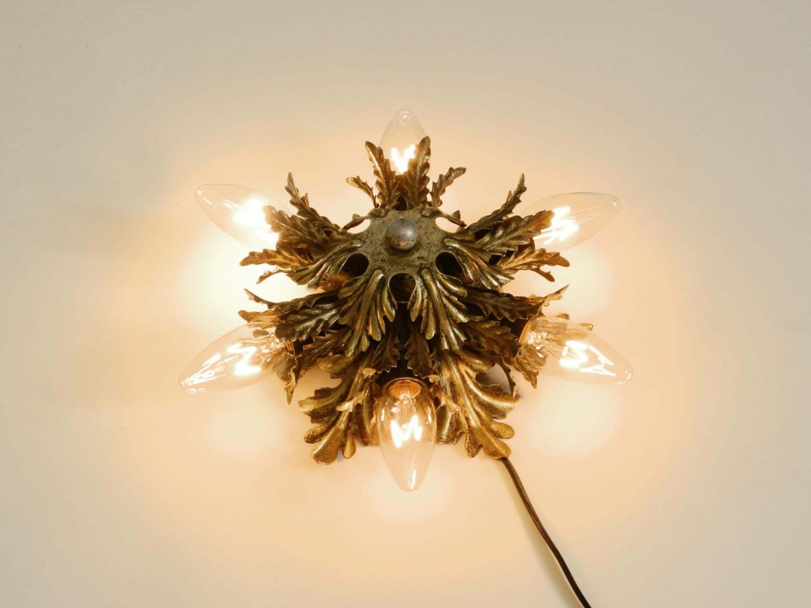 Lighting Beautiful 1960s Italian Ceiling Or Wall Lamps By Banci Firenze, Italy photo