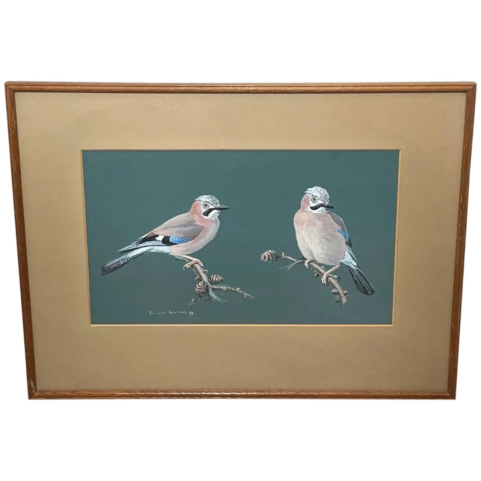 Original Mid Century Painting Bird Study Jays Signed Donald Watson (1918–2005)