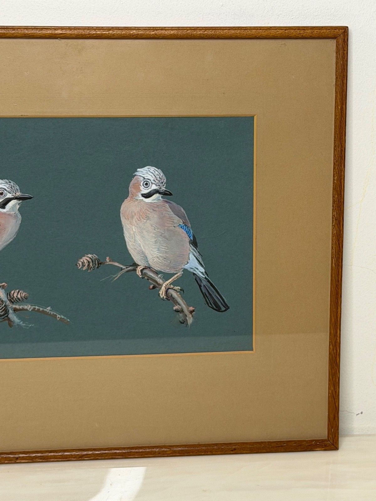 Mid-Century Schilderij Vogelstudie Vlaamse Gaaien Gesigneerd Donald Watson (1918-2005) photo 2950.0