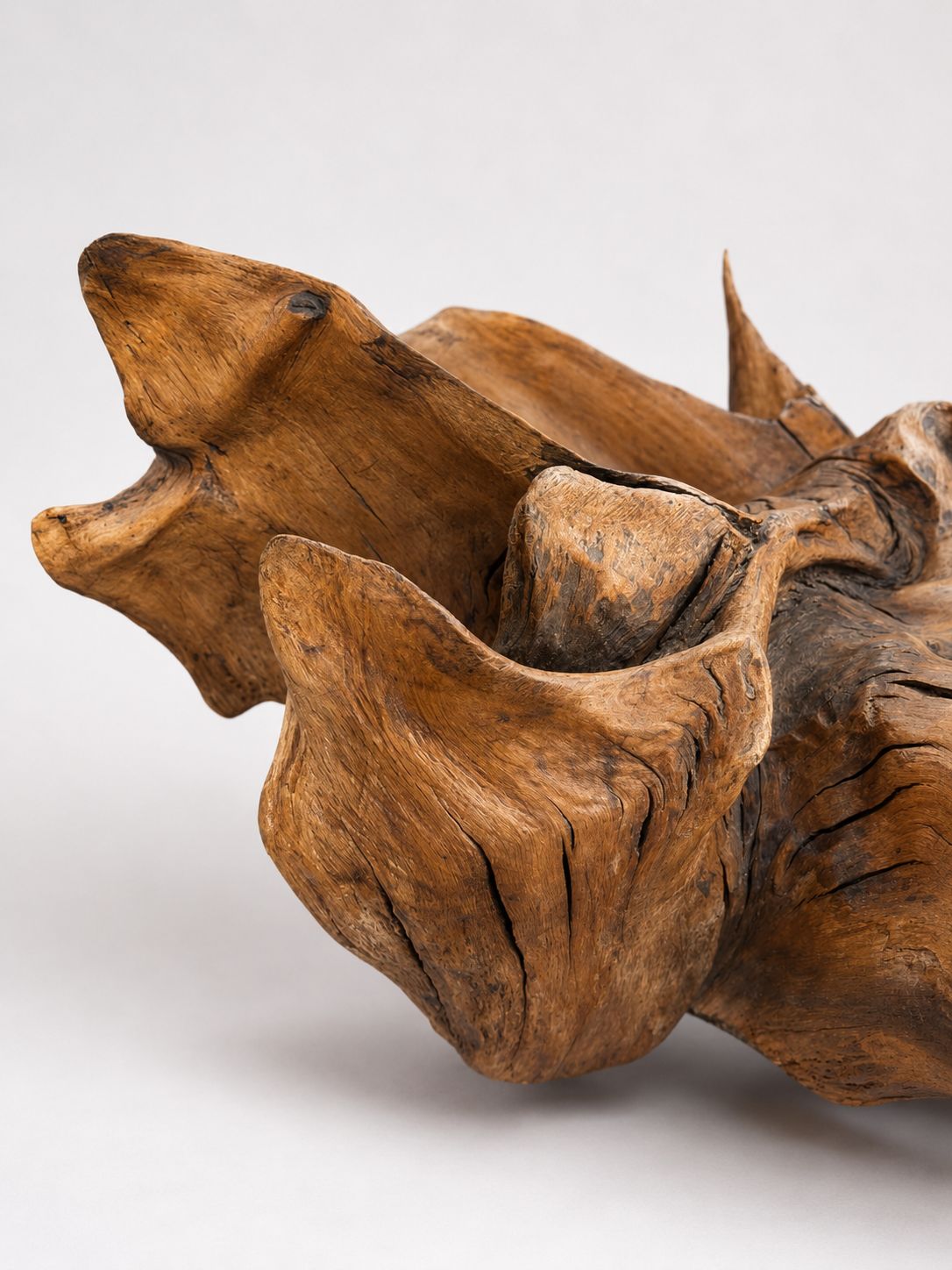 Massive Natural Root Sculpture Abstract Organic Wood Art Centrepiece photo 395.0