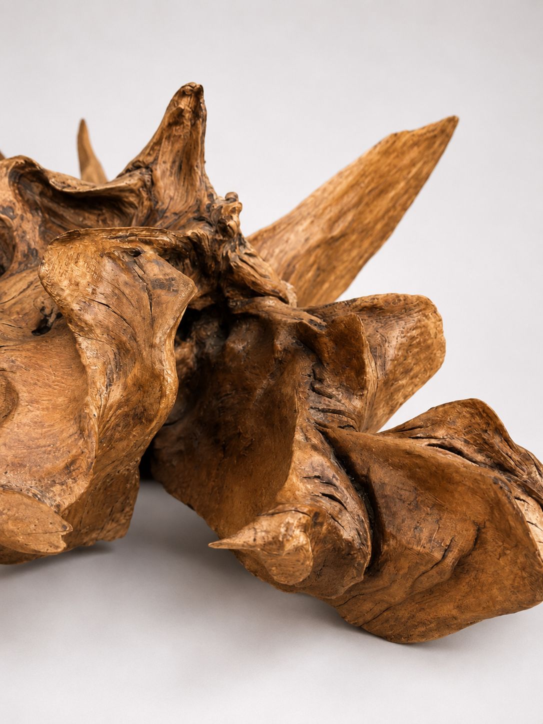 Massive Natural Root Sculpture Abstract Organic Wood Art Centrepiece photo vintage