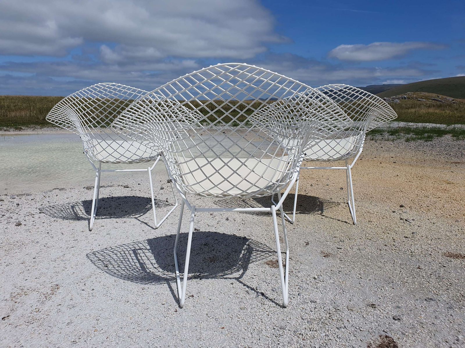 Genuine Harry Bertoia Diamond 421 Chairs. 1970s. 3 Available In White. photo for sale