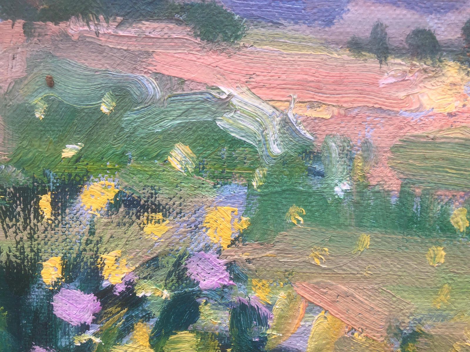 Rafael Duran Benet, Paysage méditerranéen coloré avec fleurs sauvages et oliviers, huile espagnole, vers 1990 photo vinterior