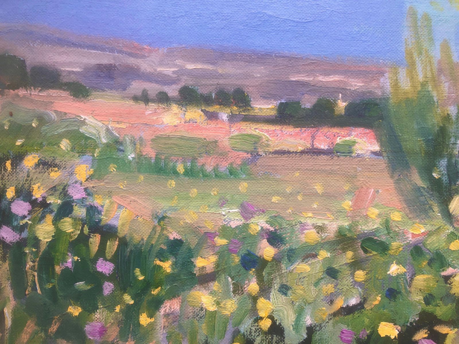 Rafael Duran Benet, Paysage méditerranéen coloré avec fleurs sauvages et oliviers, huile espagnole, vers 1990 photo buy