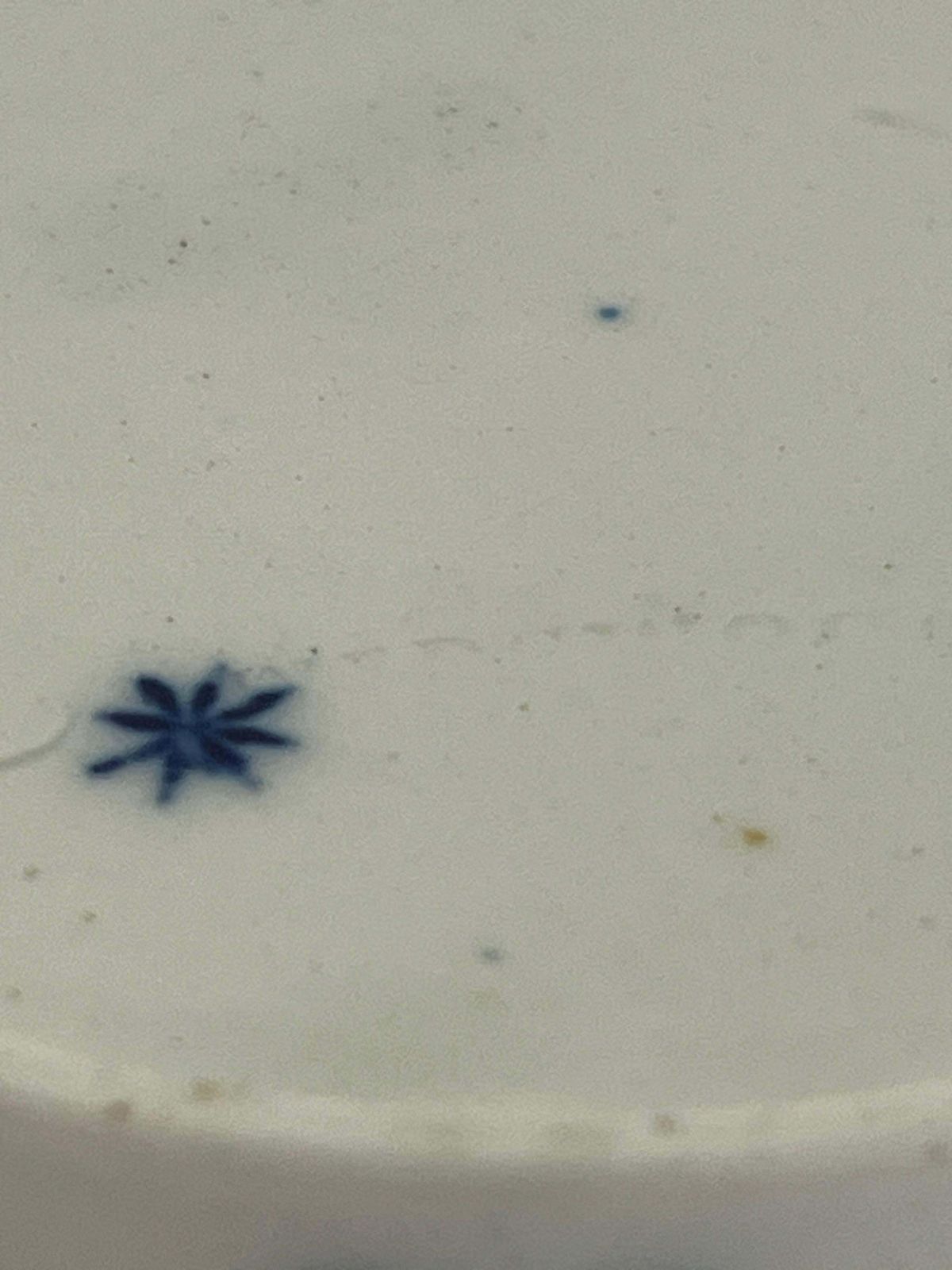 photo for sale Georgisch Wedgwood koffiekopje, fijn handgeschilderd patroon, ingegraveerd merk, ca. 1805
