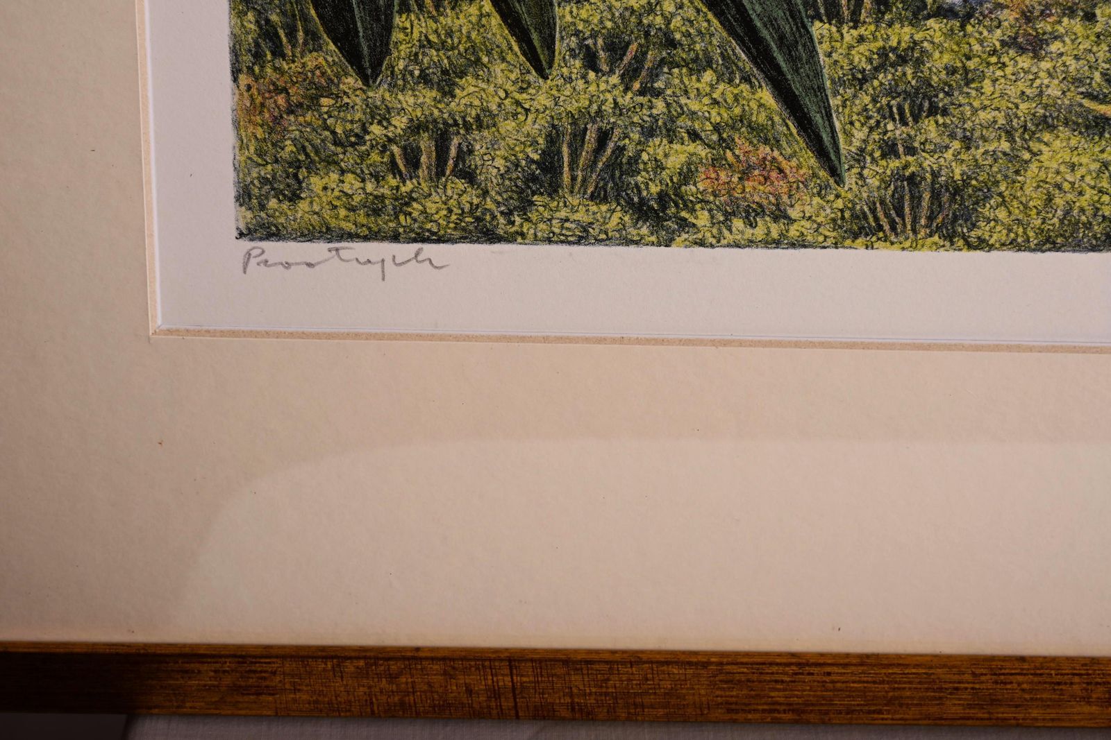 photo furniture Karl Axel Pehrson Composition Exotic Branching Plants, Ruólo”Lithograph