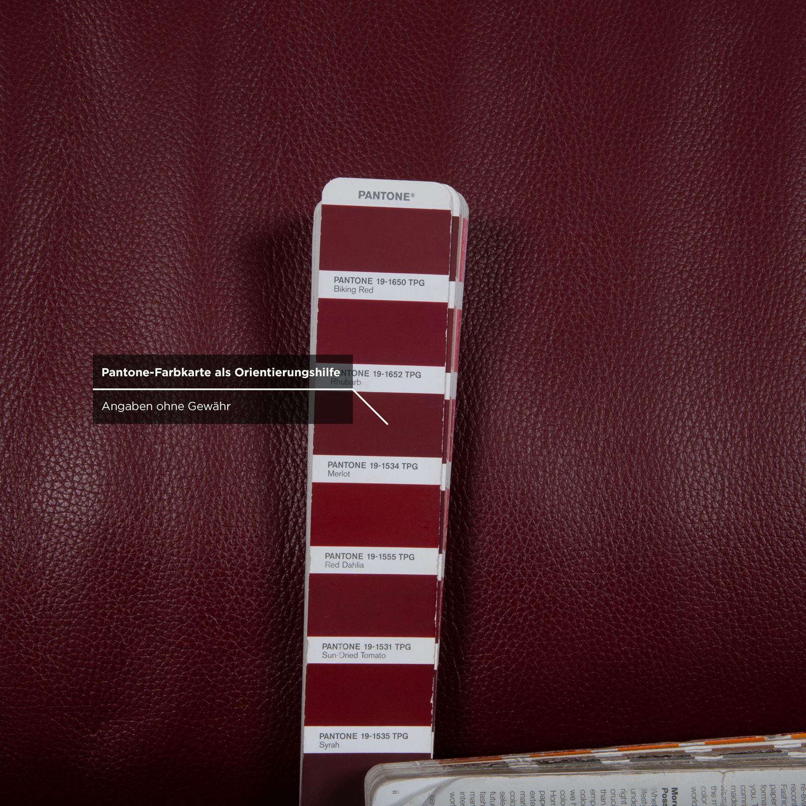 photo furniture Canapé 2 places Rolf Benz 322 en cuir rouge