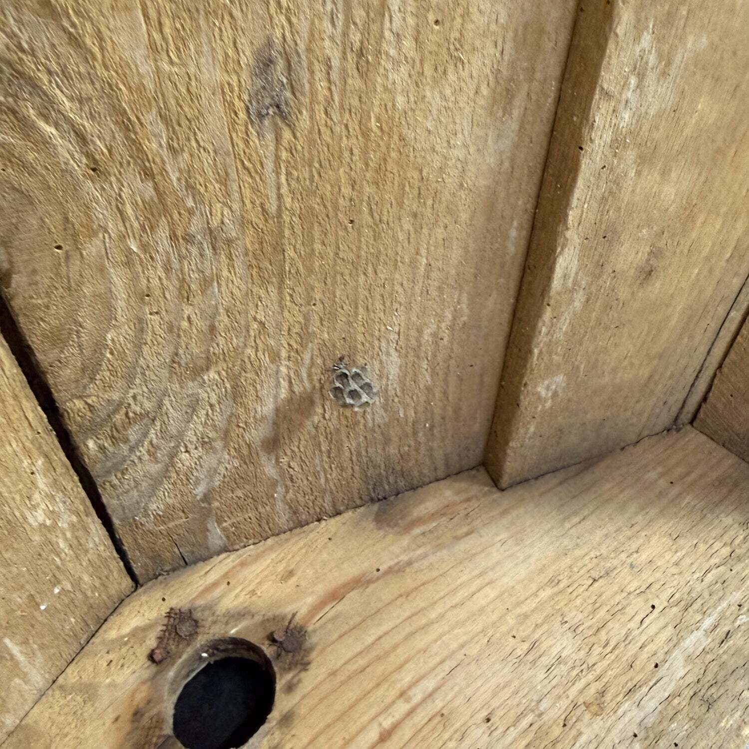 photo vinterior Franse antieke houten bijenkorf