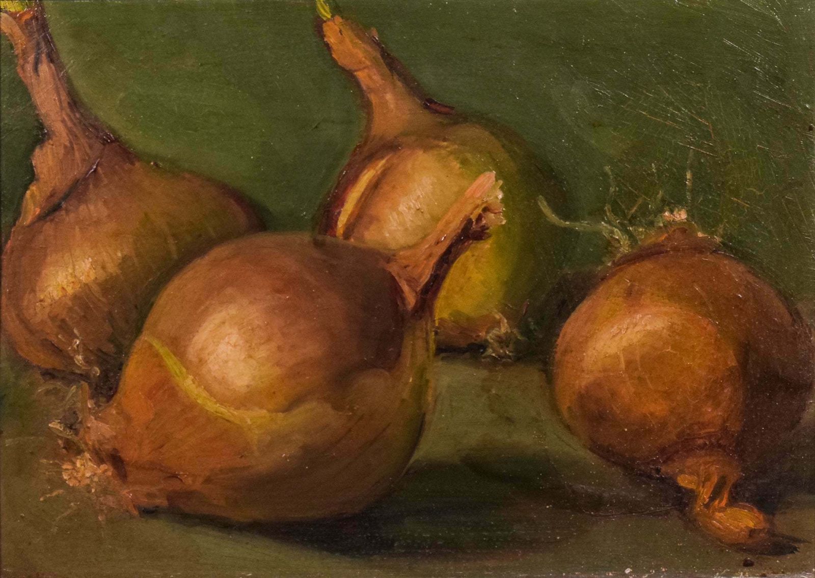 Still Life Study Of Onions, Mid 20th Century