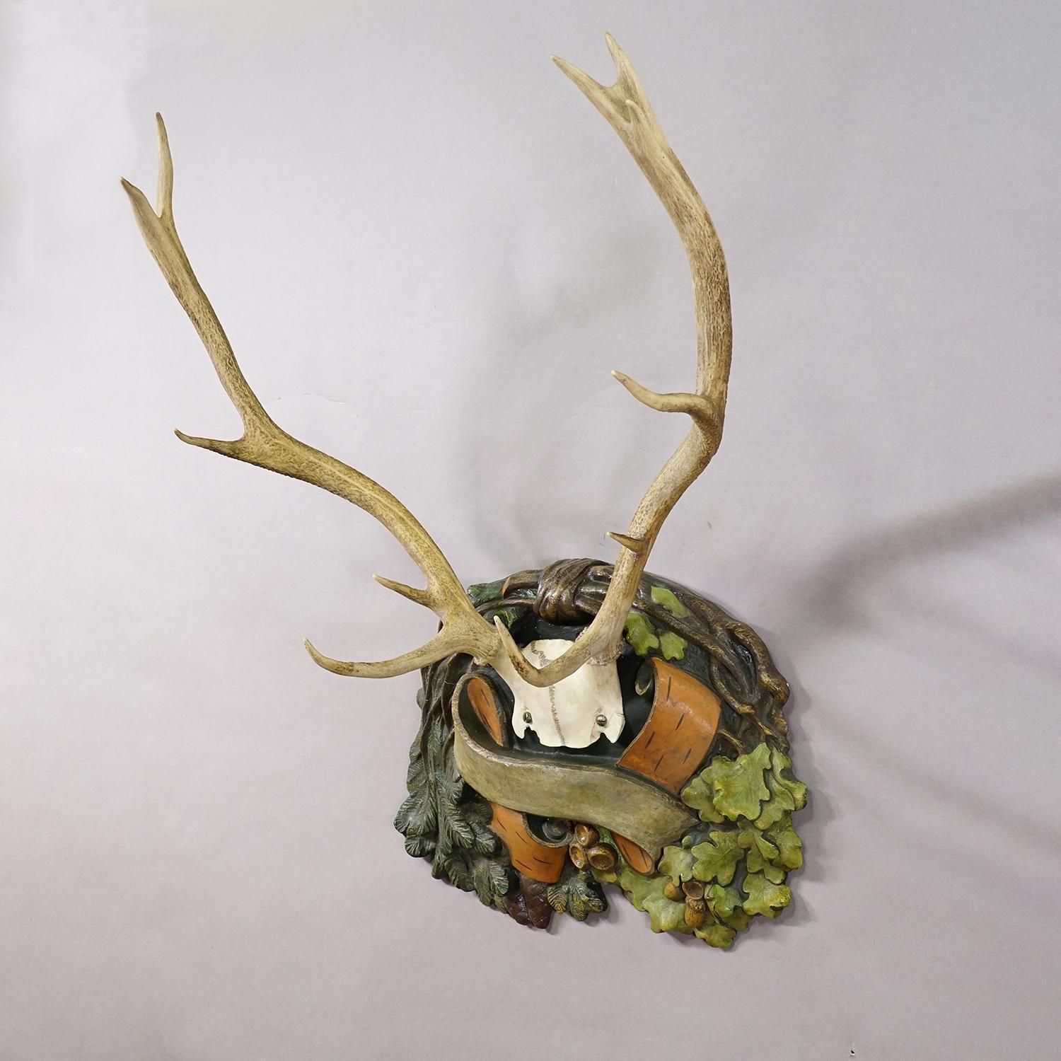 Black Forest 12-ender hertentrofee op gipsen plaquette, Duitsland, jaren 1920 photo for sale