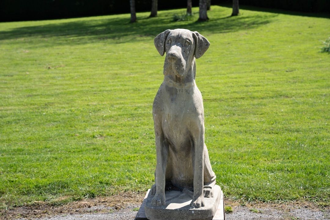 Impressive Cast Stone Garden Great Dane Statue photo vintage