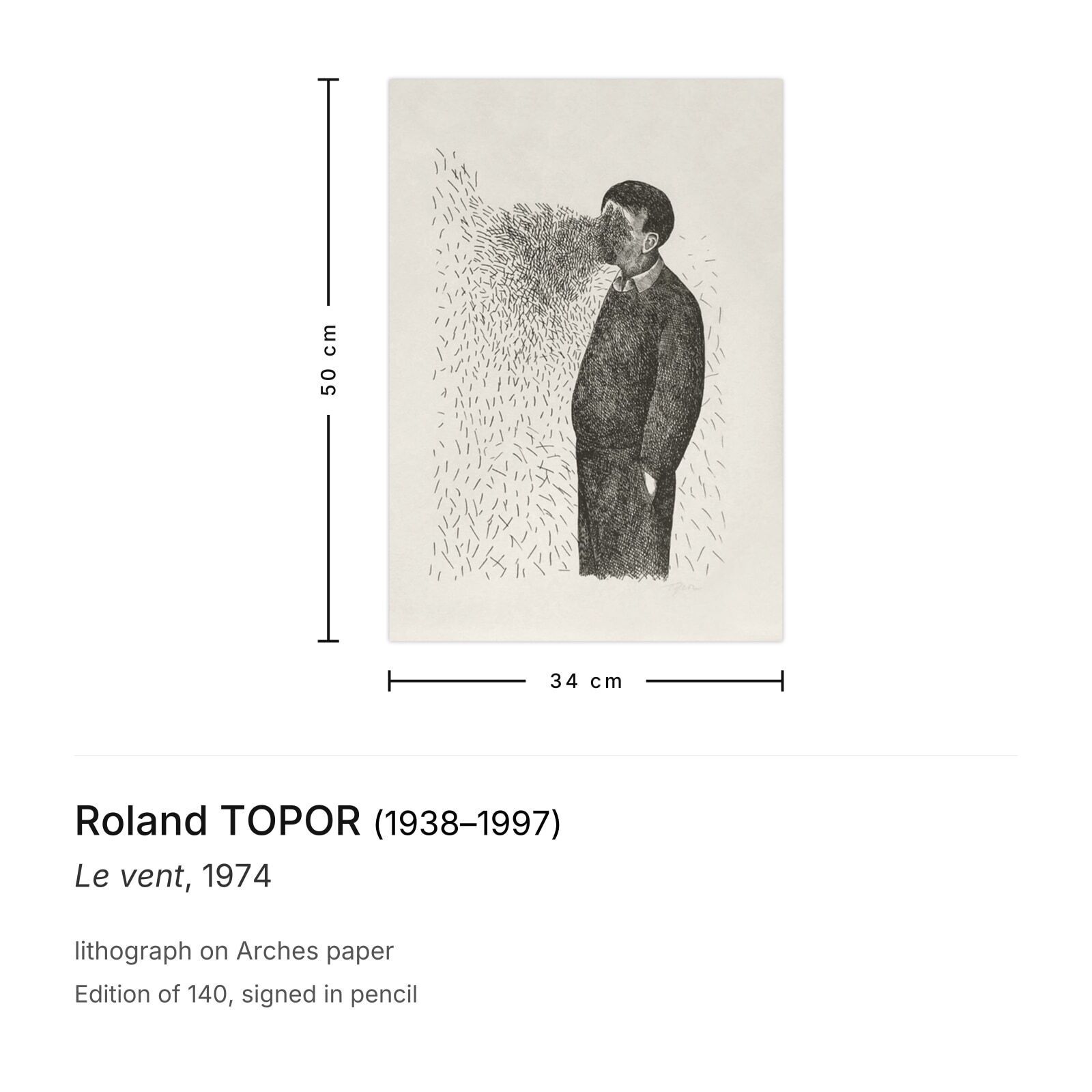Roland Topor Signed Lithograph Le Vent 1974 photo furniture