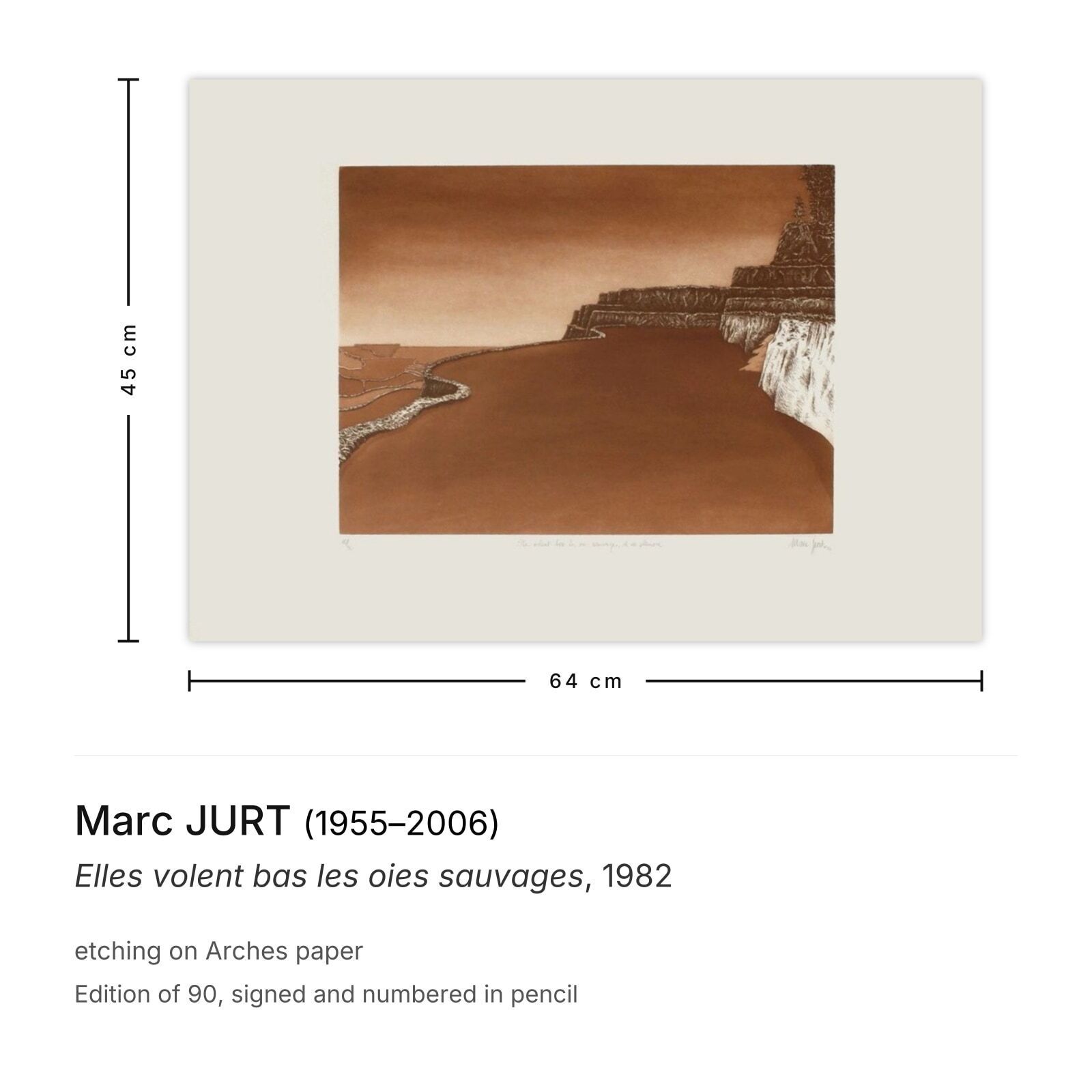 Marc Jurt Signed Etching Elles Volent Bas Les Oies Sauvages 1982 photo furniture