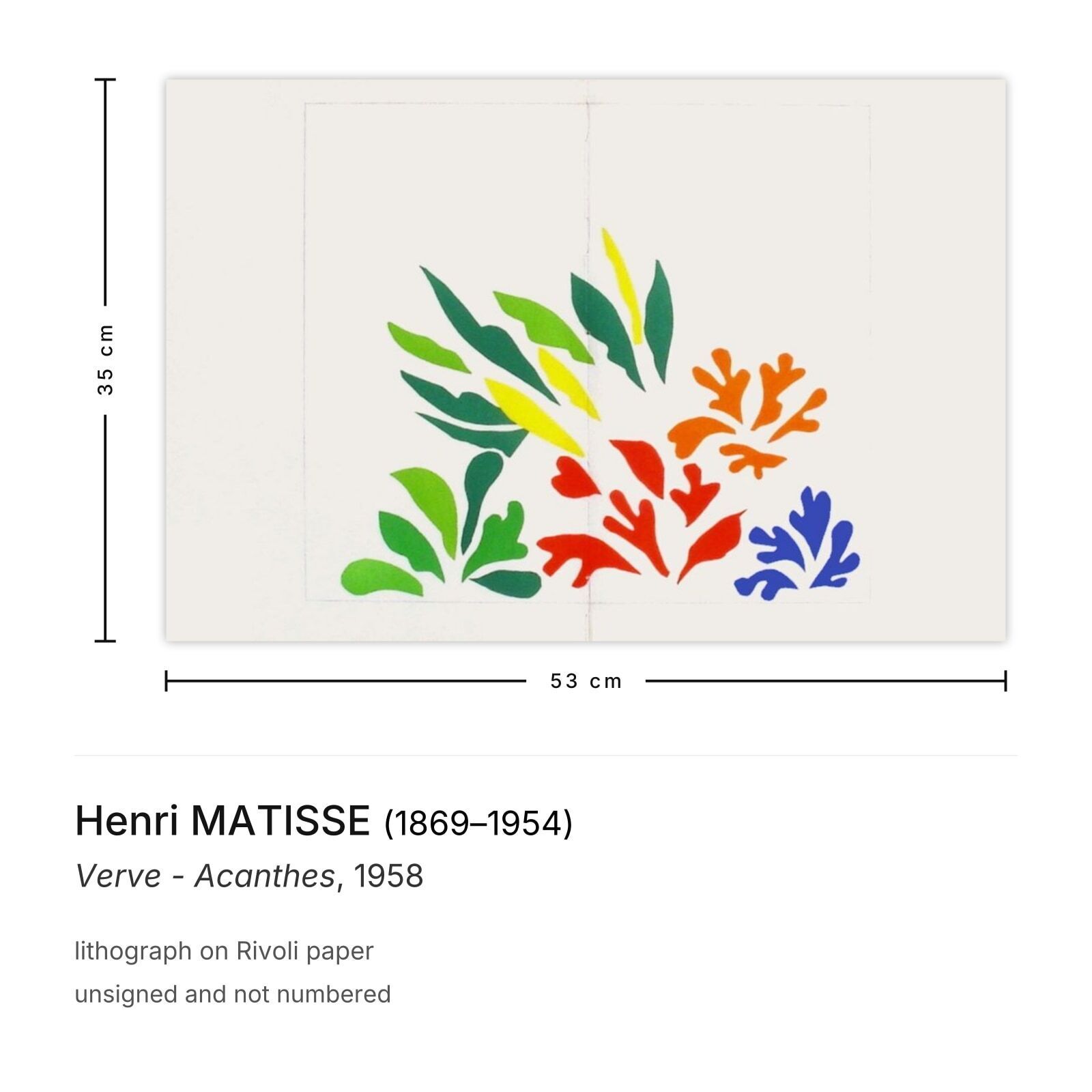 Henri Matisse Lithografie Verve Acanthes 1958 photo furniture