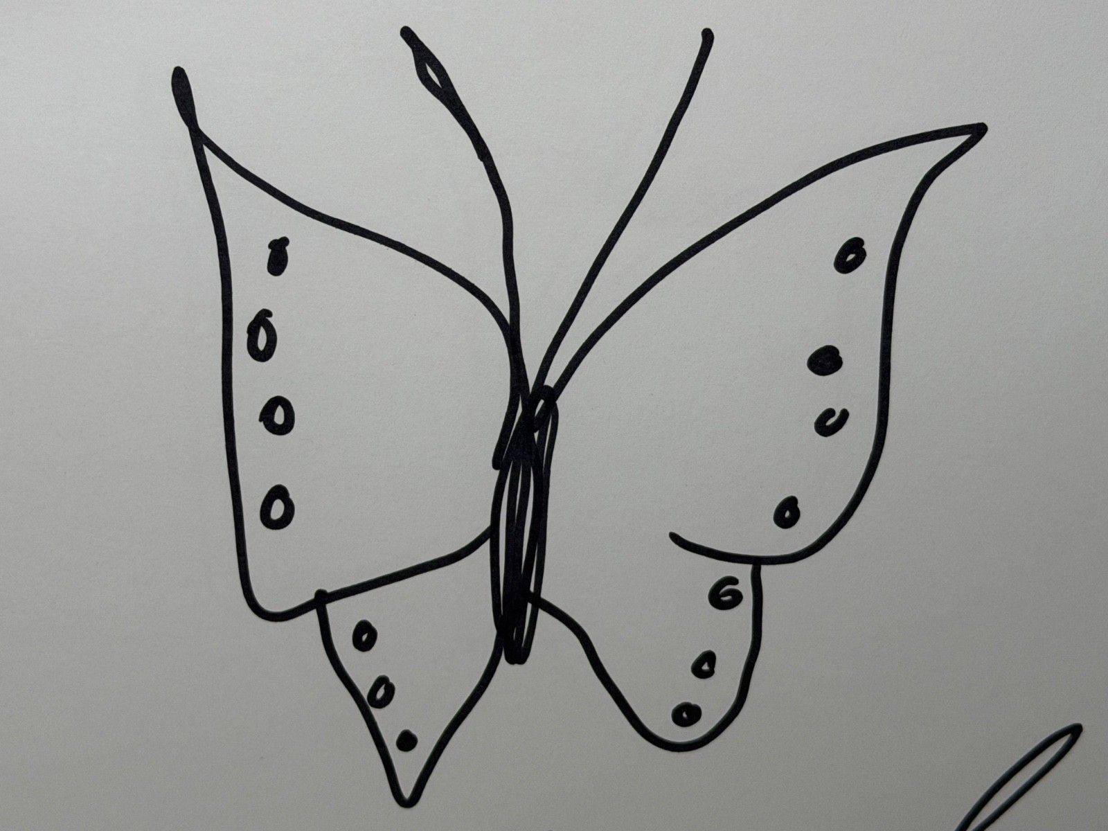 photo for sale Damien Hirst Butterfly With Hearts – Signed Original Ink Drawing On Paper