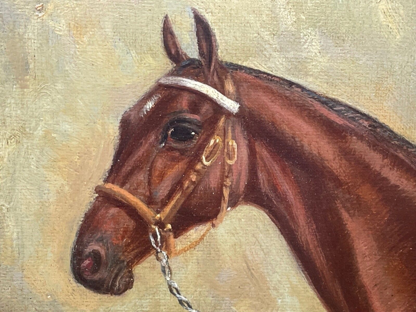 Olieverfschilderij Renbaard Spion Kop Winnaar Derby Stakes Gesigneerd Door Frederick Albert Clarke Begin 20e Eeuw Ca. 1920 photo Kunst