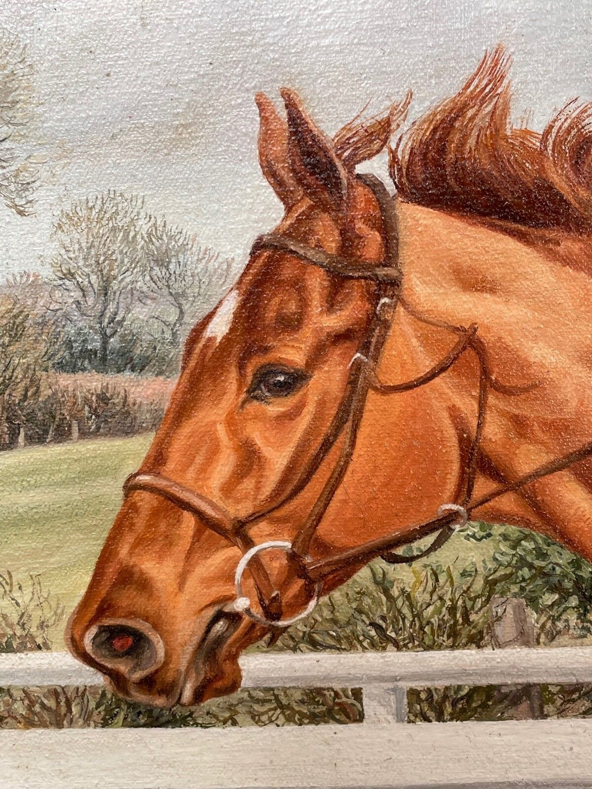 Rca Equestrian Olieverfschilderij Londolozi Paardenrennen Springend Over Hek Gesigneerd Door Sue Wingate photo Kunst