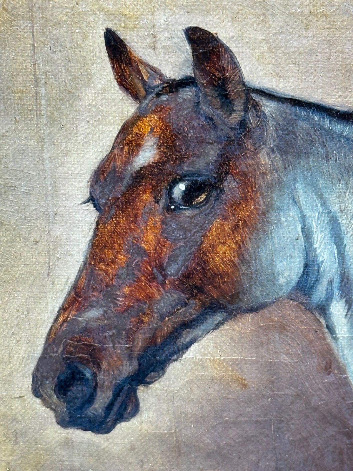 9500.0 Victorian  Equestrian Oil Painting Portrait  Strawberry Roan Hunter Horse In Stable With Terrier Circle Of Edwin Frederick Holt photo