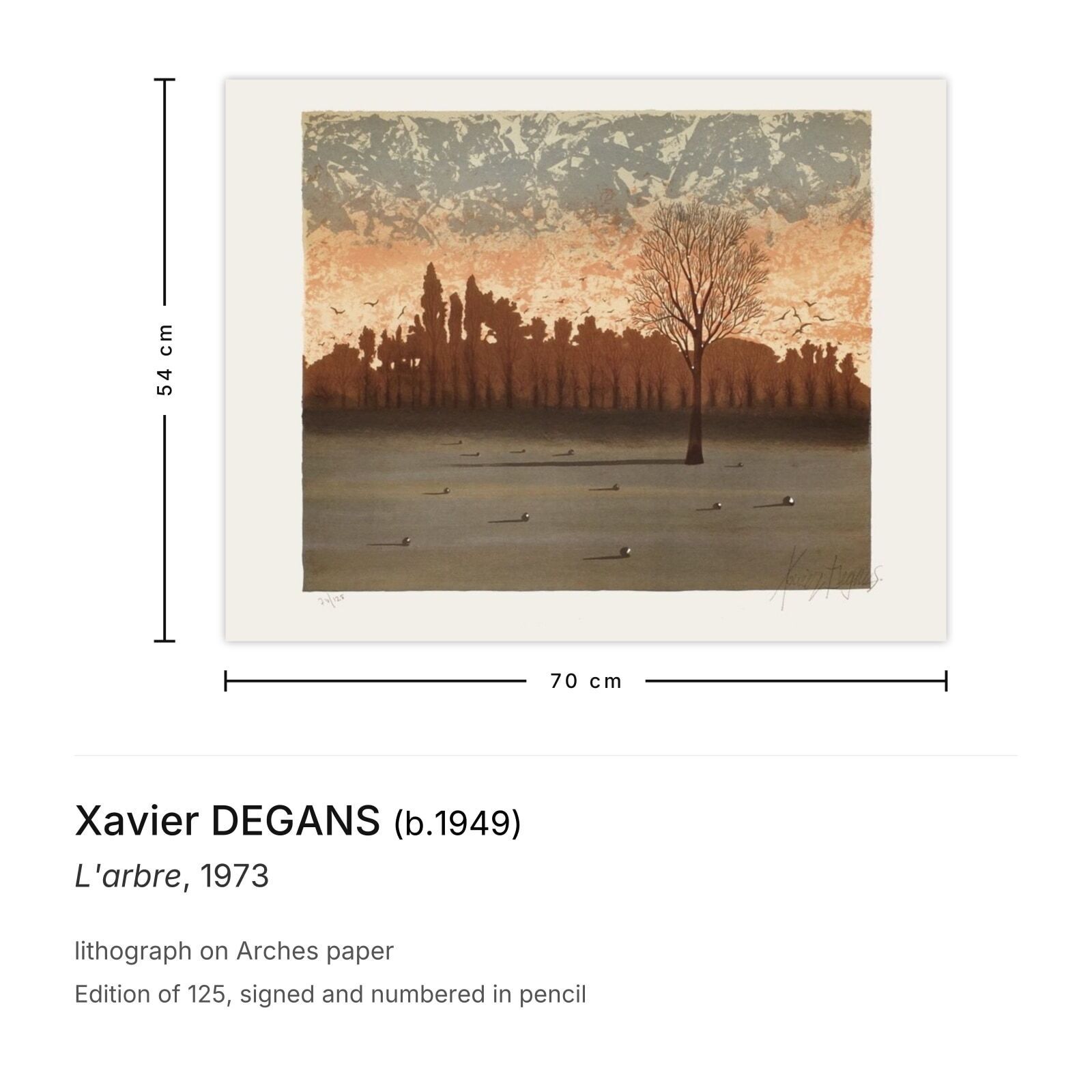 Xavier Degans Gesigneerde Litho L'arbre 1973 photo furniture