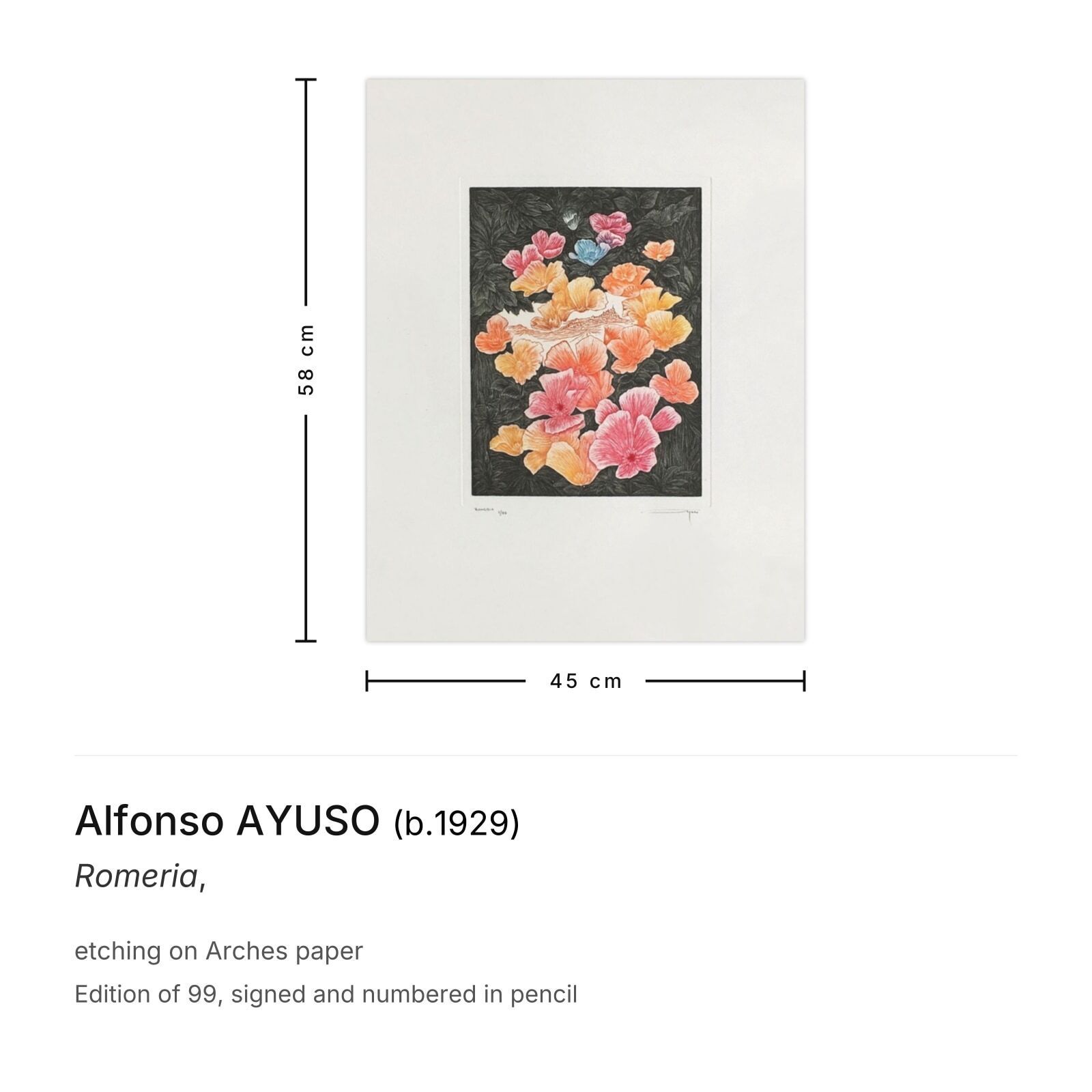 Alfonso Ayuso Gesigneerde Ets Romeria photo furniture