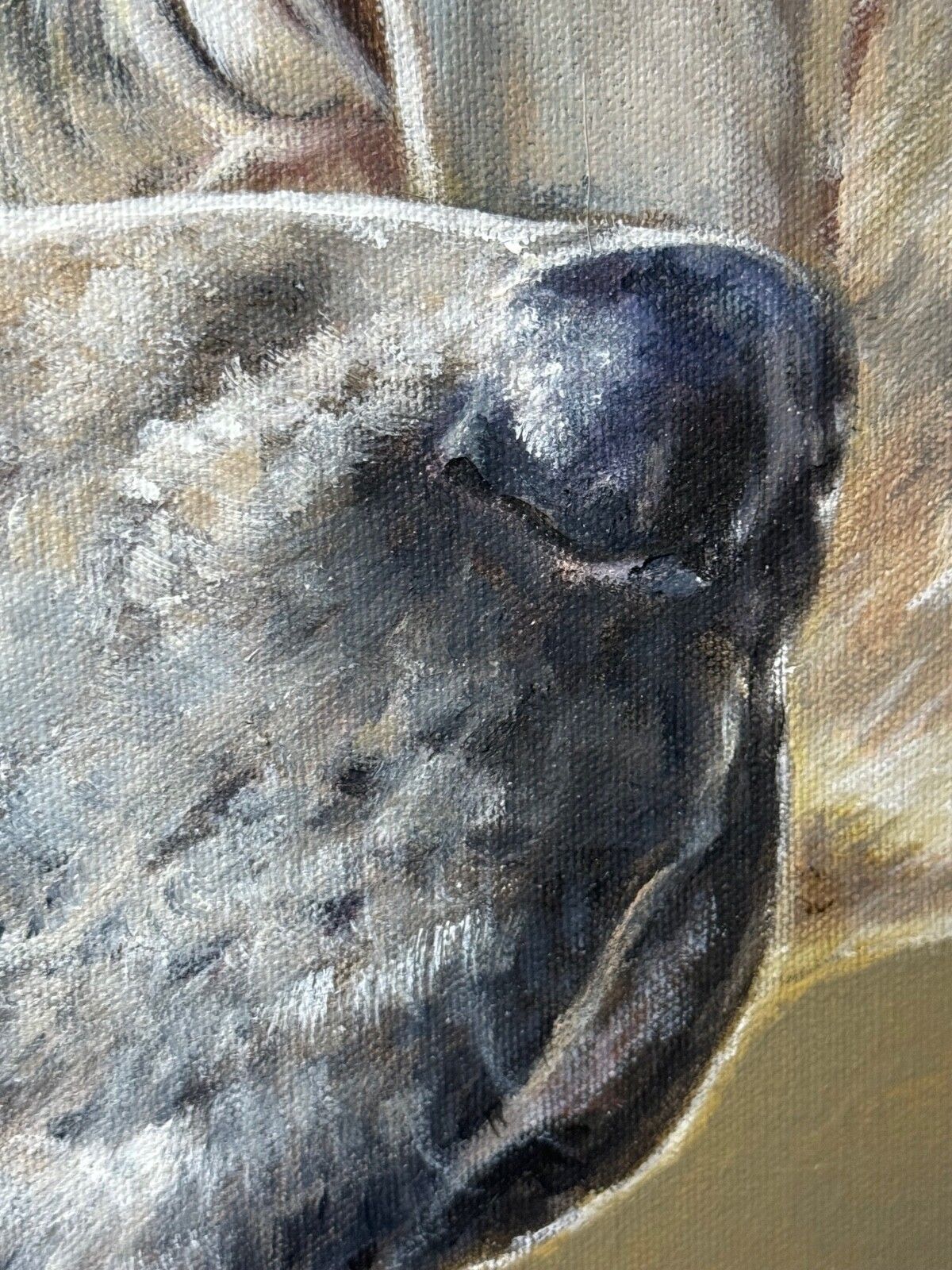 photo for sale Groot jachttafereel, olieverfschilderij, hondenkoppel van reukspeurhonden bij de Berkeley Hunt, gesigneerd door Vicky Palmer