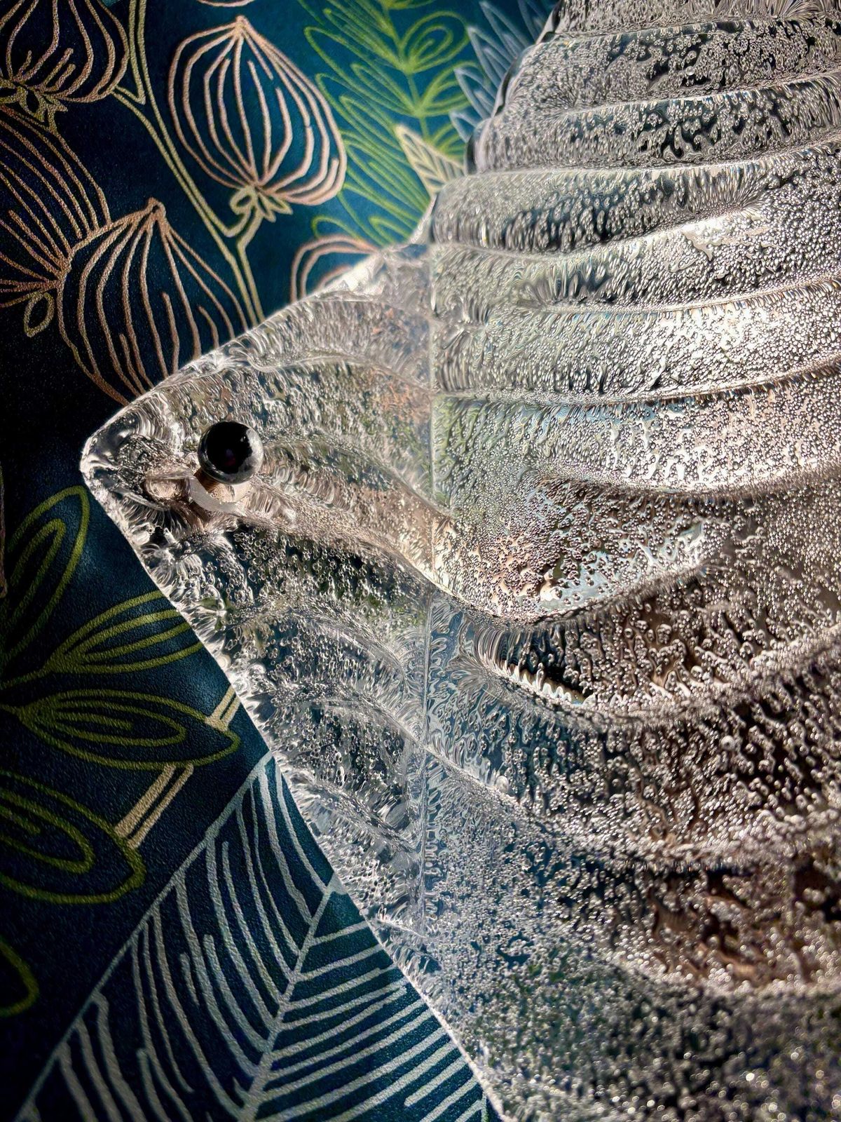 Wandlamp van Fischer Leuchten photo 376.0