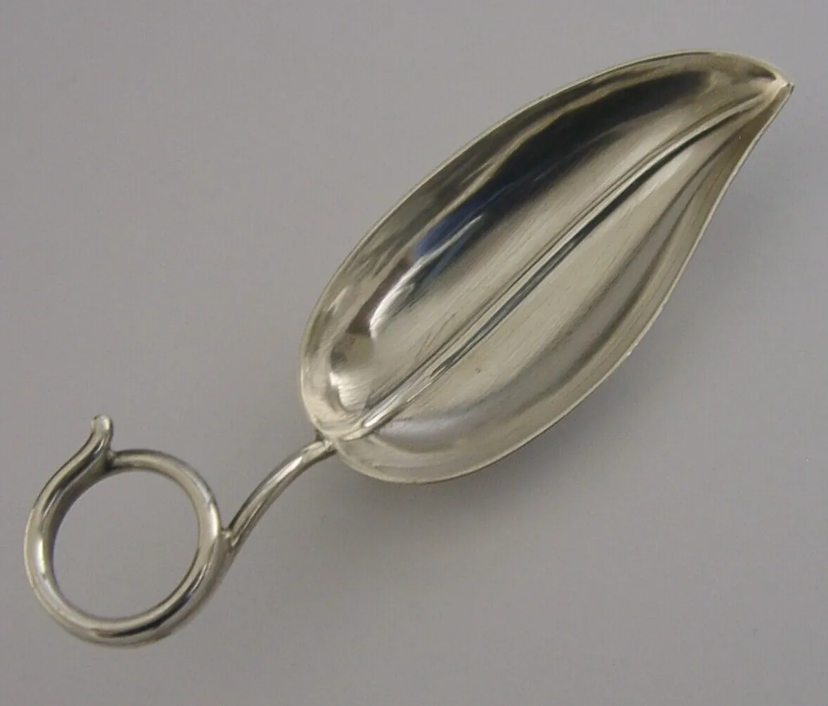 Novelty Art Nouveau Sterling Silver Leaf Caddy Spoon C1900 American Antique photo for sale