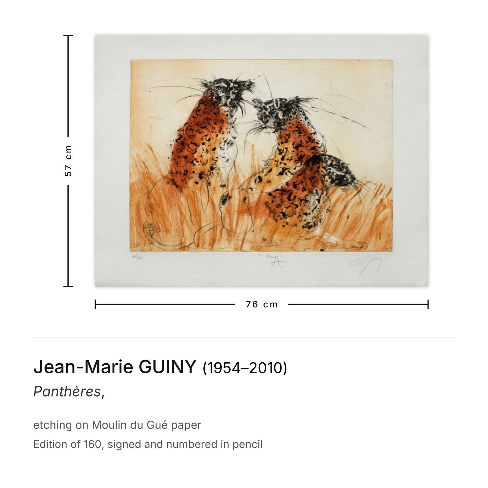 Jean Marie Guiny Gesigneerde Ets Panthères photo furniture