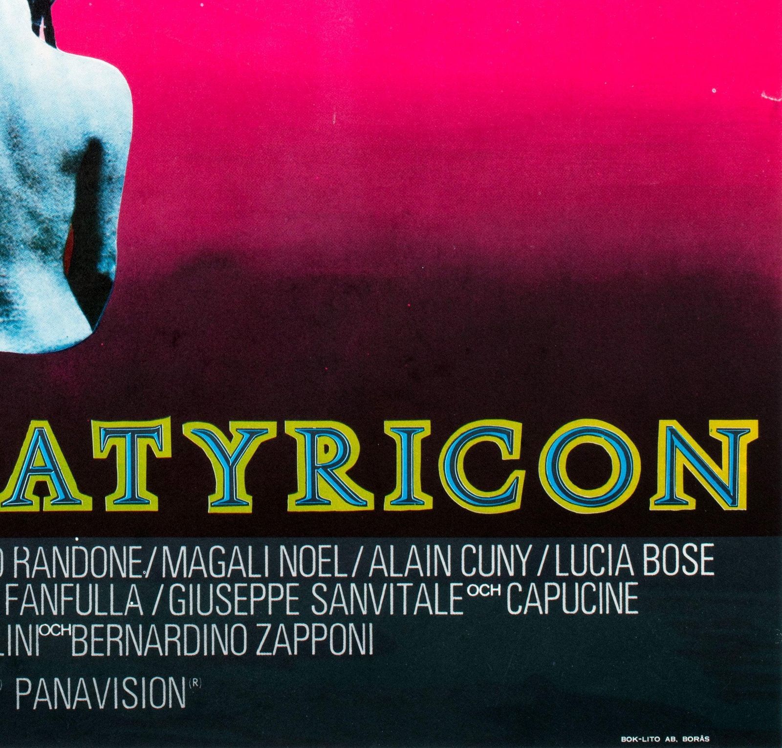Fellini Satyricon 1969 Swedish Film Poster photo vintage