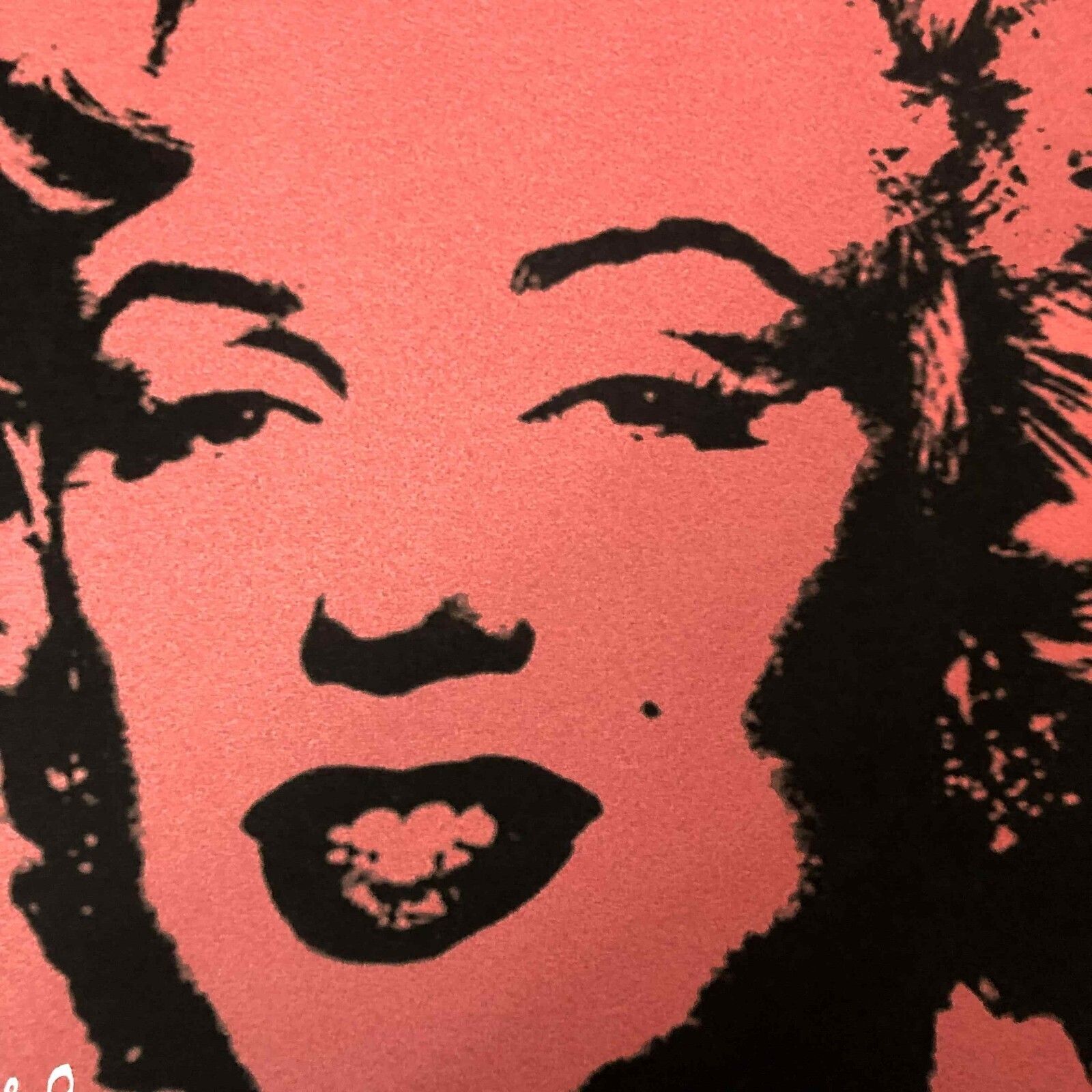 Andy Warhol Lithografie 50x50 cm Nieuwe Cmoa Editie Met Certificaat photo vinterior