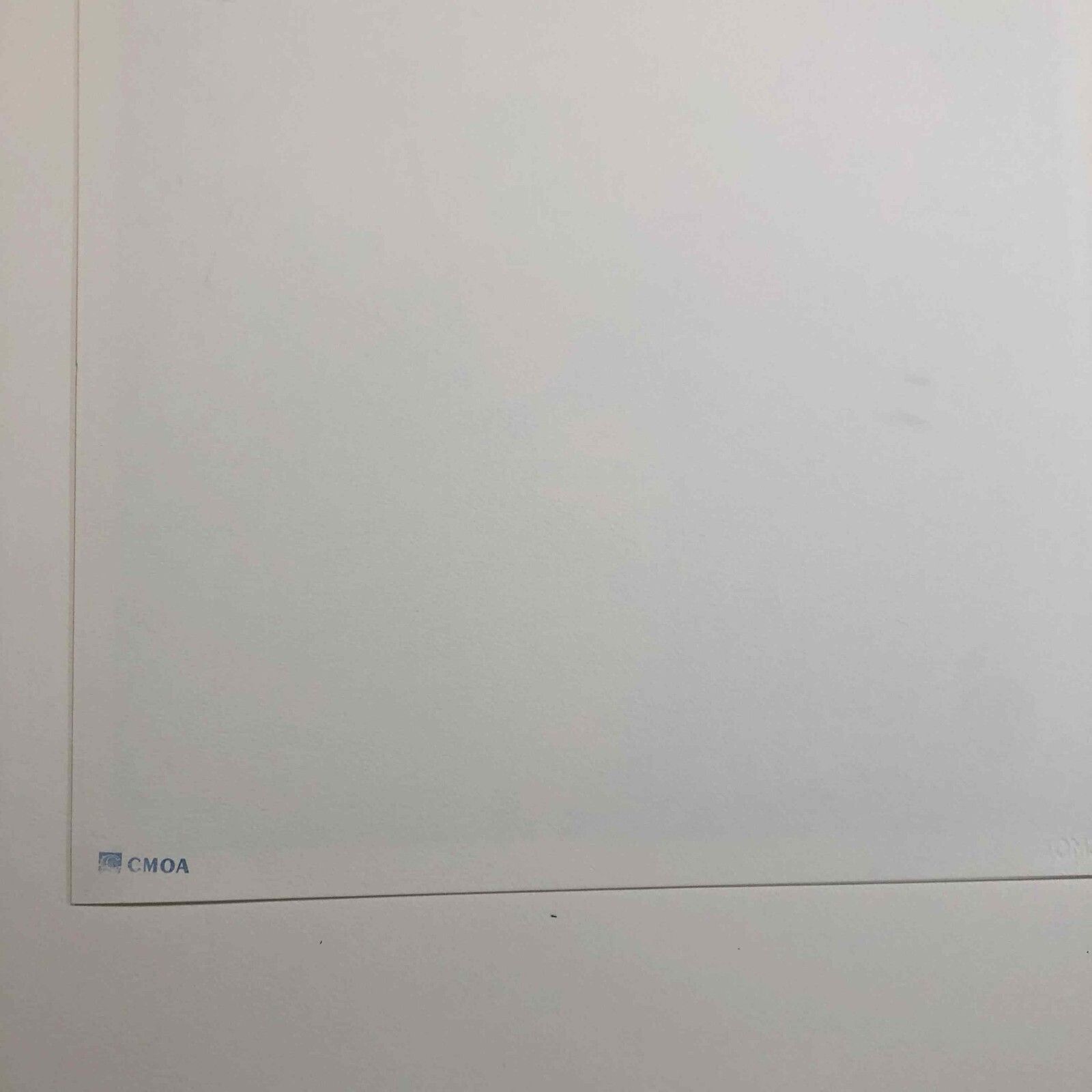 780.0 Andy Warhol Lithografie 50x50 cm Nieuwe Cmoa Editie Met Certificaat photo