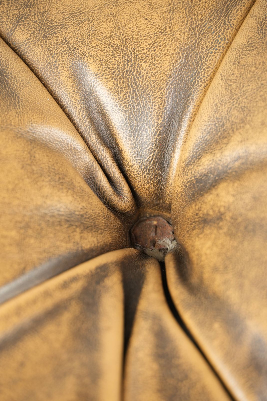 Meubels Unieke en elegante Engelse Chesterfield ottoman in koeienhuidleer op wieltjes, afgewerkt met decoratieve nagels. photo