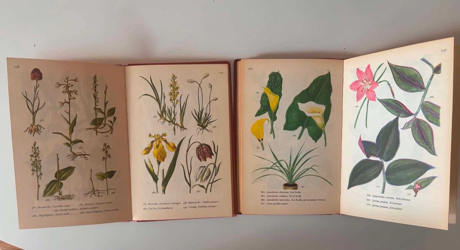 Set van 2 vintage Deense botanische boeken 1954 & 1960 | Honderden botanische illustraties | Scandinavische wanddecoratie photo vinterior