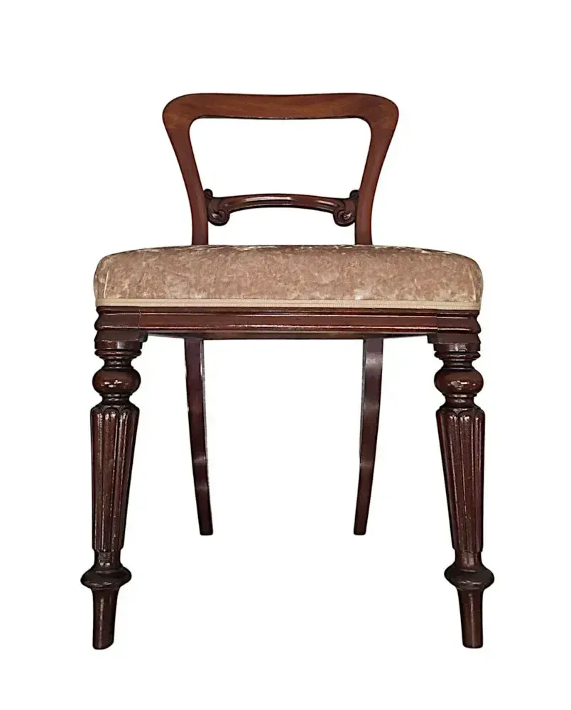 Zeer zeldzame, volledig gerestaureerde set van twaalf 19e-eeuwse eetkamerstoelen, toegeschreven aan Gillows photo vintage