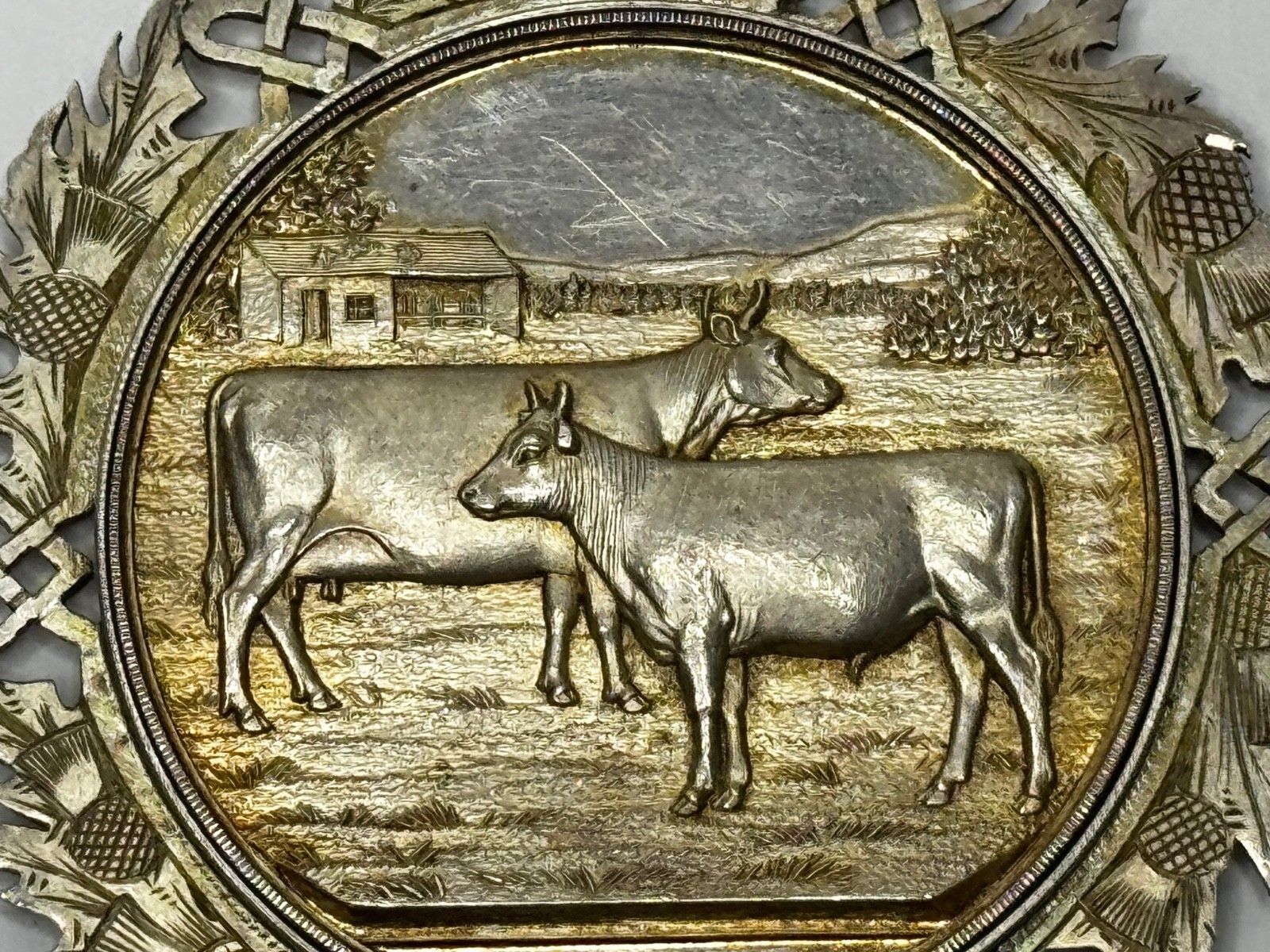 1250.0 Victorian Scottish Silver Agricultural Prize Medal Ayrshire Cow & Calf Bull photo