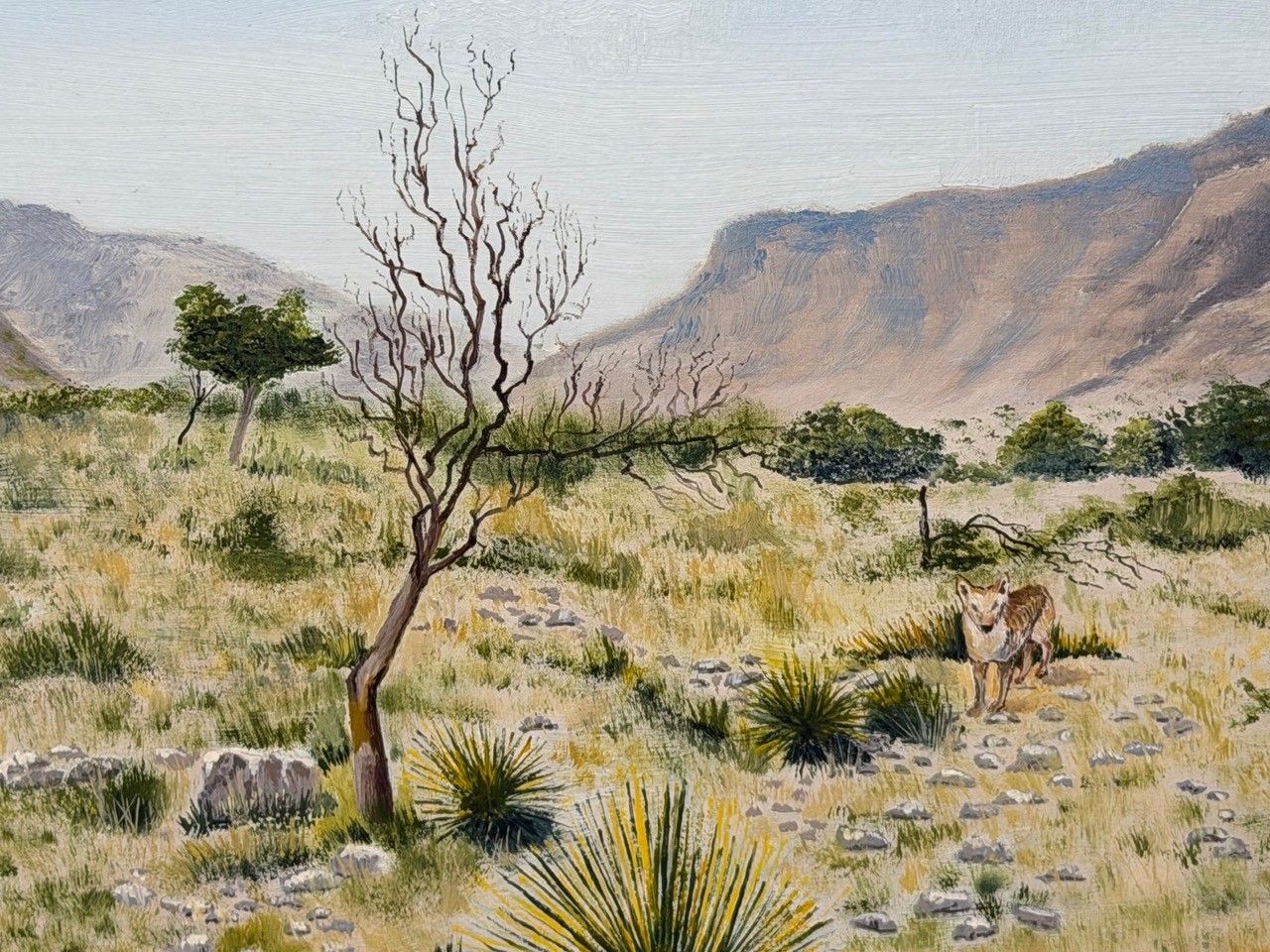 Olieverfschilderij Zuidwest-USA, Chisum Trail, New Mexico, initialen gesigneerd door Dennis Herbert Trewartha photo furniture