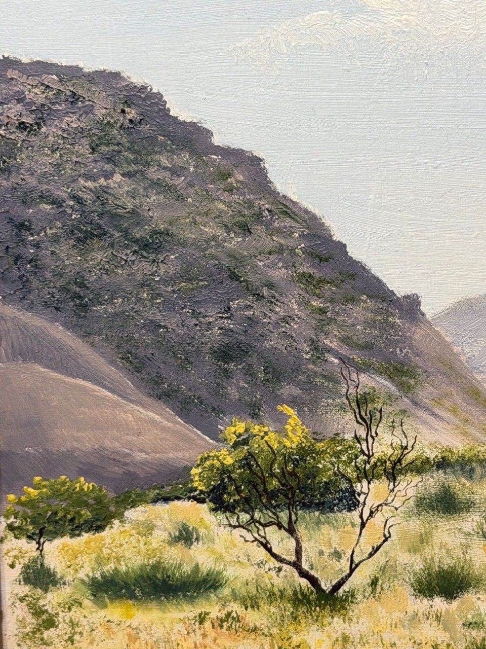 Olieverfschilderij Zuidwest-USA, Chisum Trail, New Mexico, initialen gesigneerd door Dennis Herbert Trewartha photo vintage
