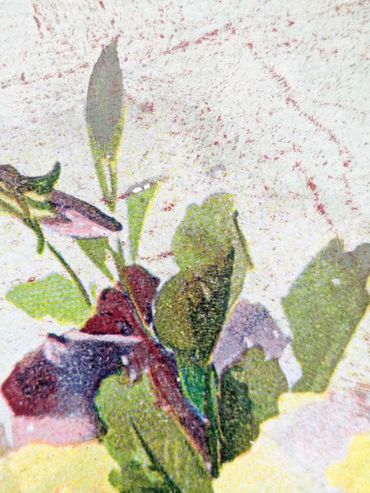 photo vinterior Vintage Decoupage Op Metaal Bloemen Galerienblad Shabby Chic Viooltjes Serveer- of Toilettafel