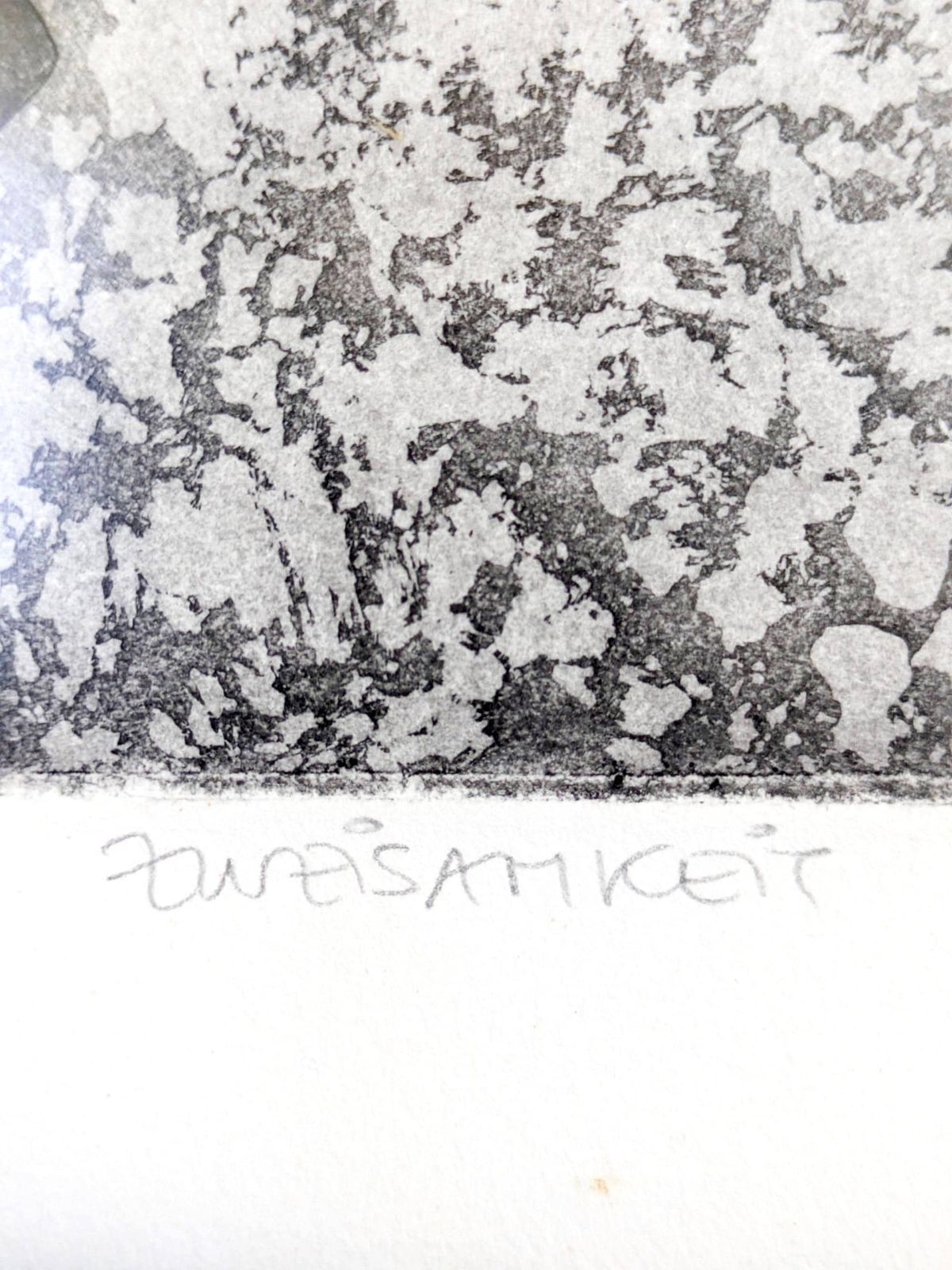 photo for sale Eva Ziolkowski gesigneerde ets van katten, genummerd 79/100, "Zweisamkeit", ingelijst wandkunst
