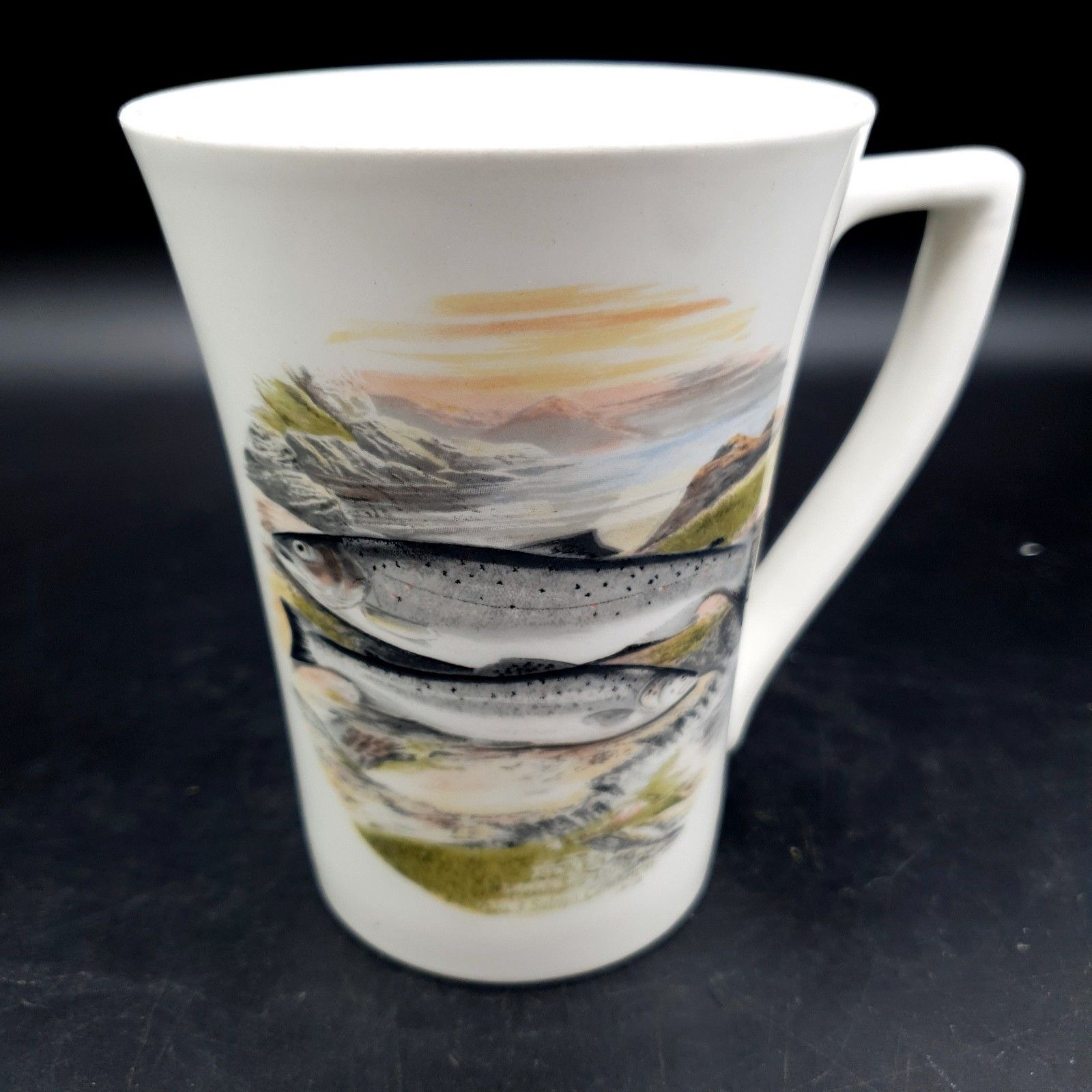 Portmeirion Compleat Angler Fern Sewen Welsh Sea Trout No.3 Mug Scarce