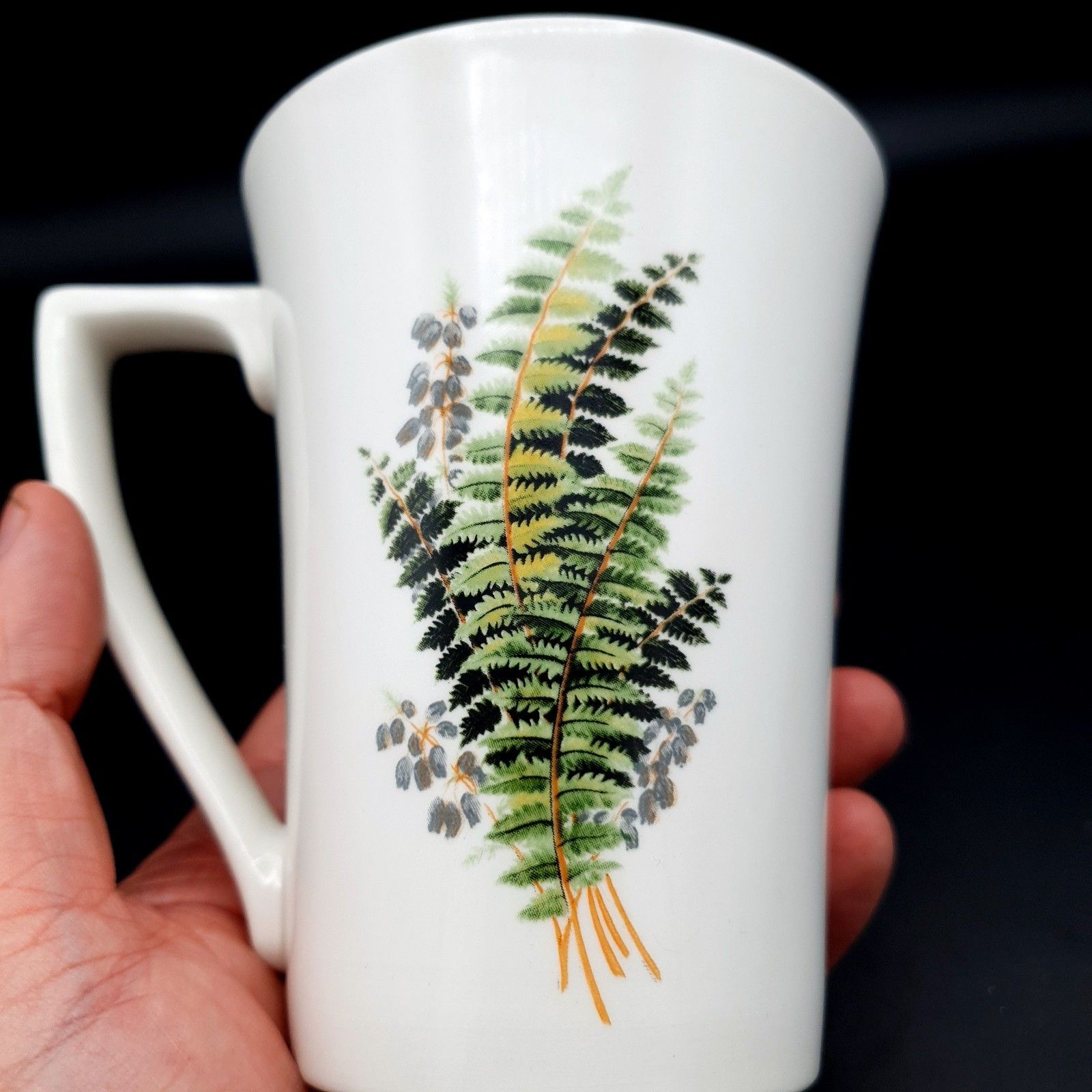 Portmeirion Compleat Angler Fern Sewen Welsh Sea Trout No.3 Mug Scarce photo vintage