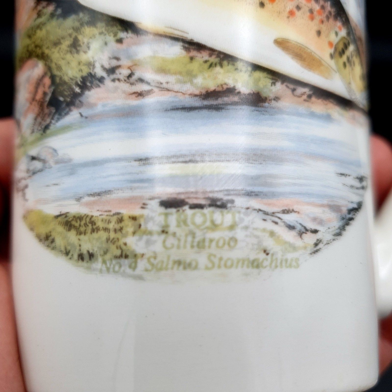 Portmeirion Compleat Angler Fern Trout Gillaroo No. 4 Mug 1981+ Scarce Fishing photo buy