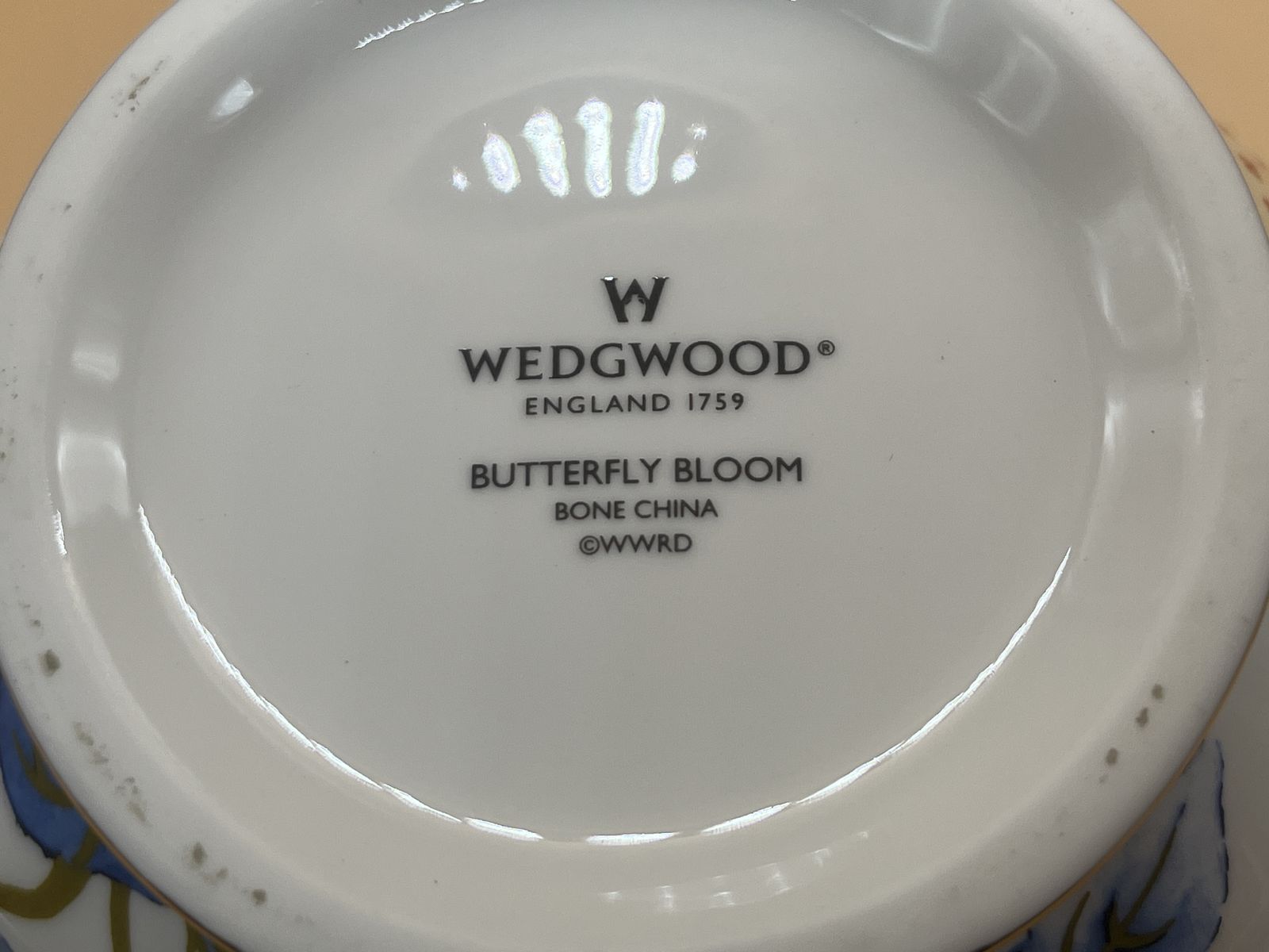 photo buy New Large 2 Pint Wedgwood China Butterfly Bloom Teapot In Original Box.