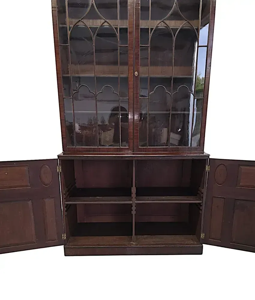 A Very Fine Large Early 19th Century Two Door Bookcase photo vintage
