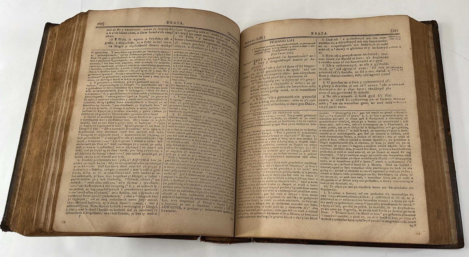 photo buy Antique Welsh Family Bible From 1808, By Thomas Coke, Full Calf Binding