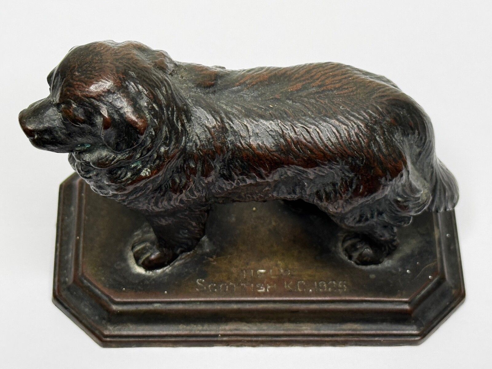Antiek Schots Kennel Club Association Newfoundland hond bronzen sculptuur photo for sale