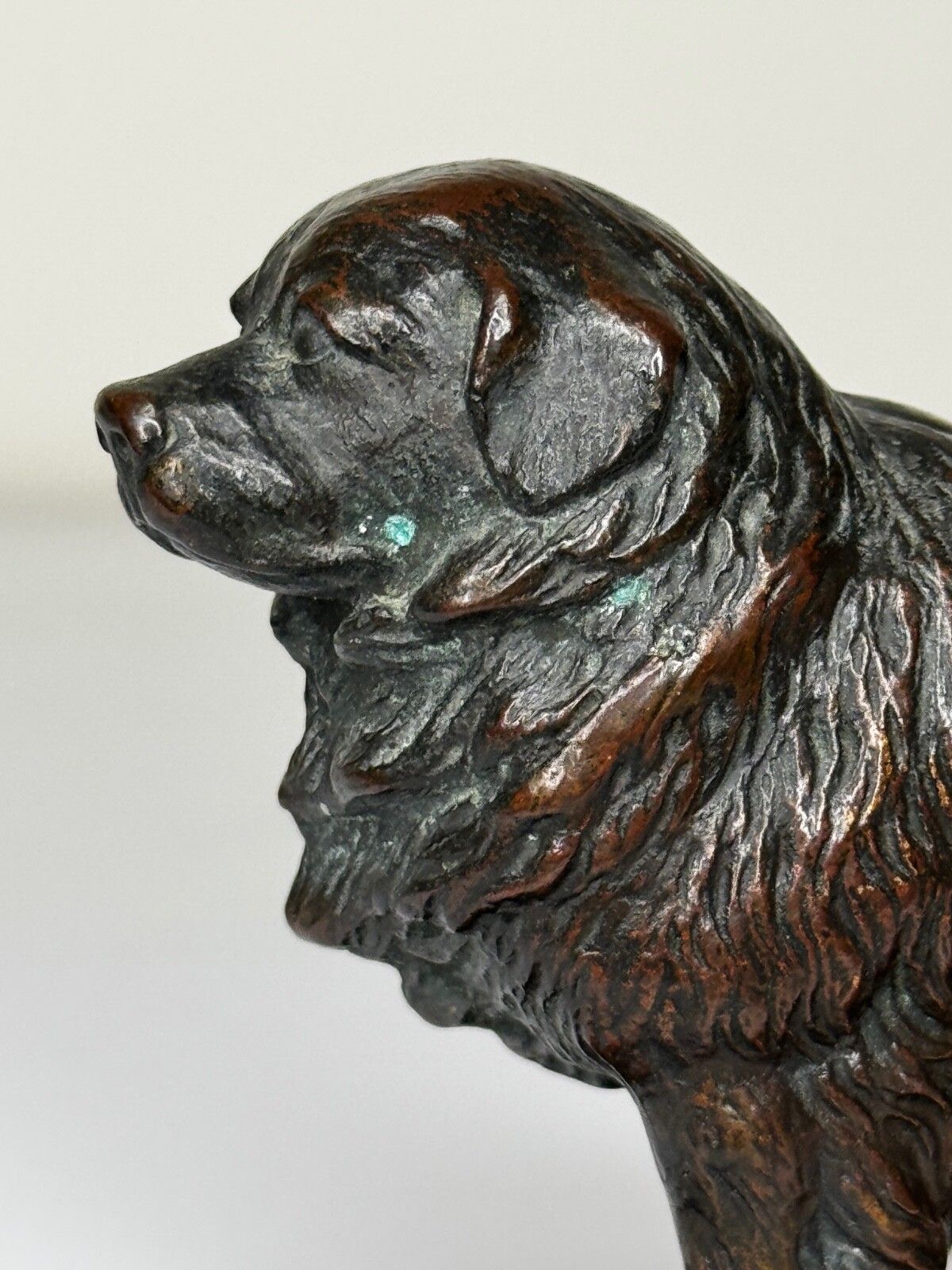 Antiek Schots Kennel Club Association Newfoundland hond bronzen sculptuur photo vinterior